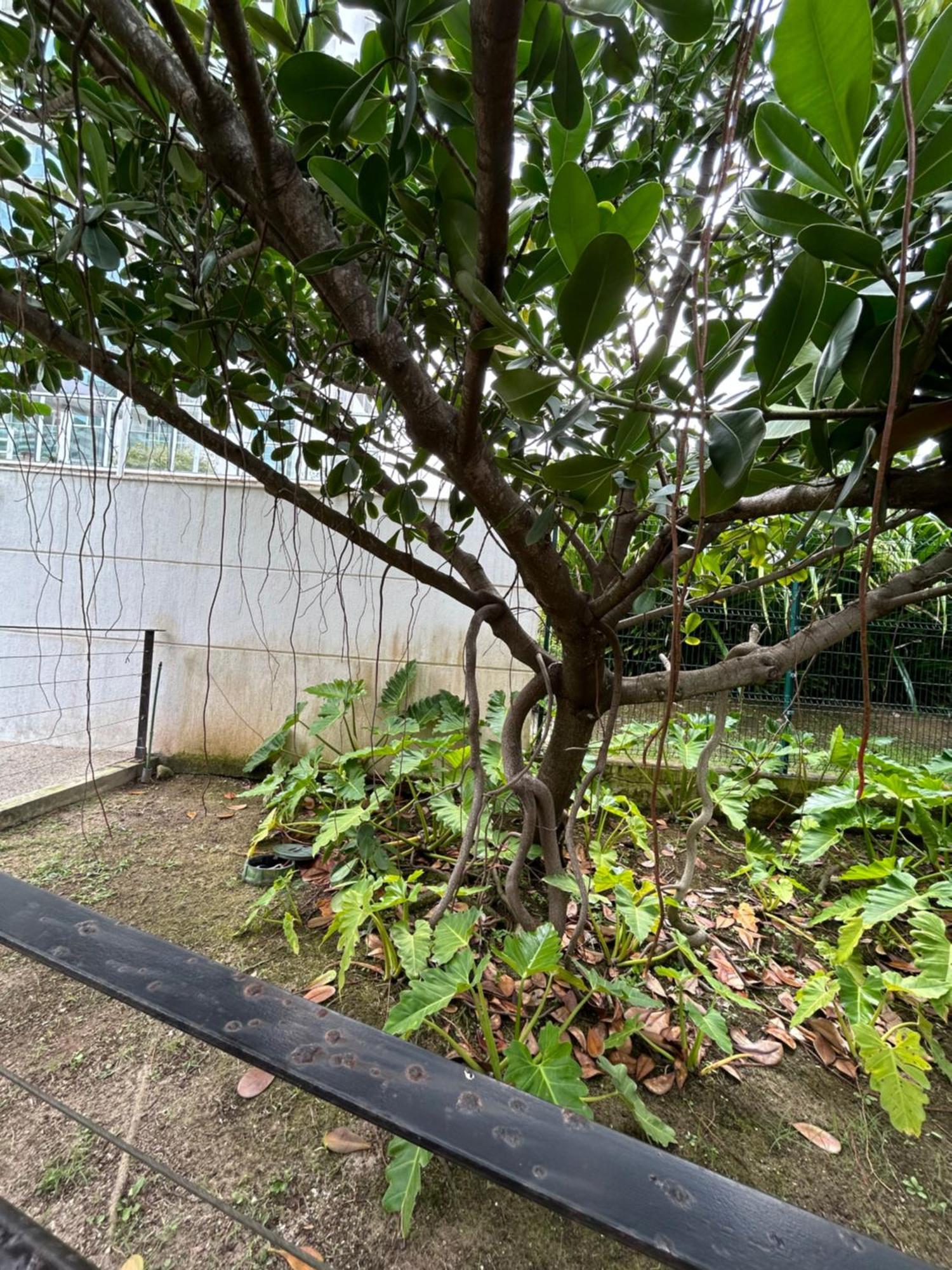 Apto Riocentro, Parque Olimpico Barra Da Tijuca Rj Apartment Rio de Janeiro